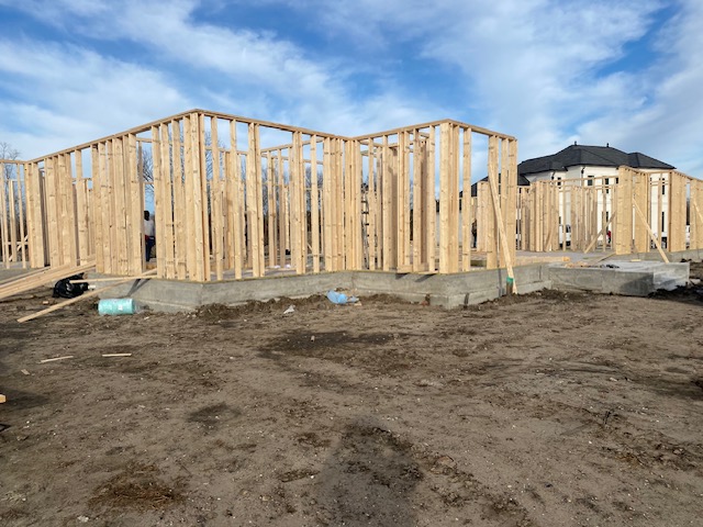 Wall framing rising off a fresh slab